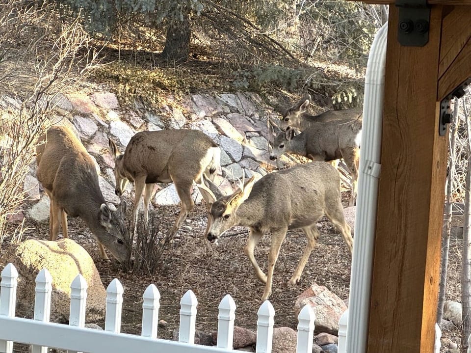 View from property