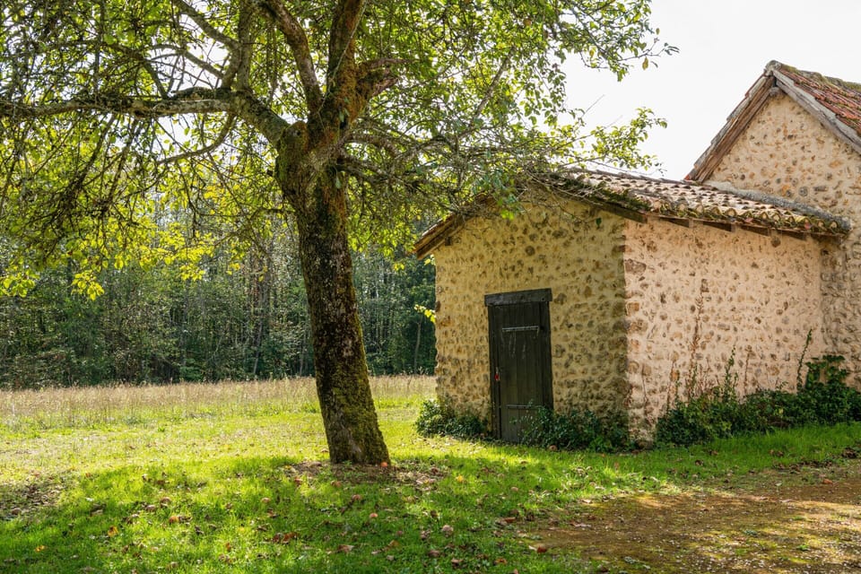 House | Garden