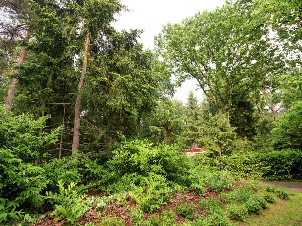 House | View from property