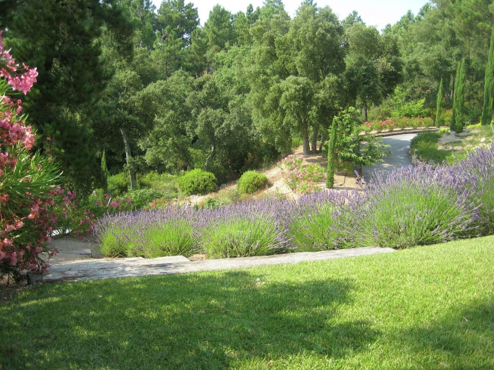 Villa | Garden