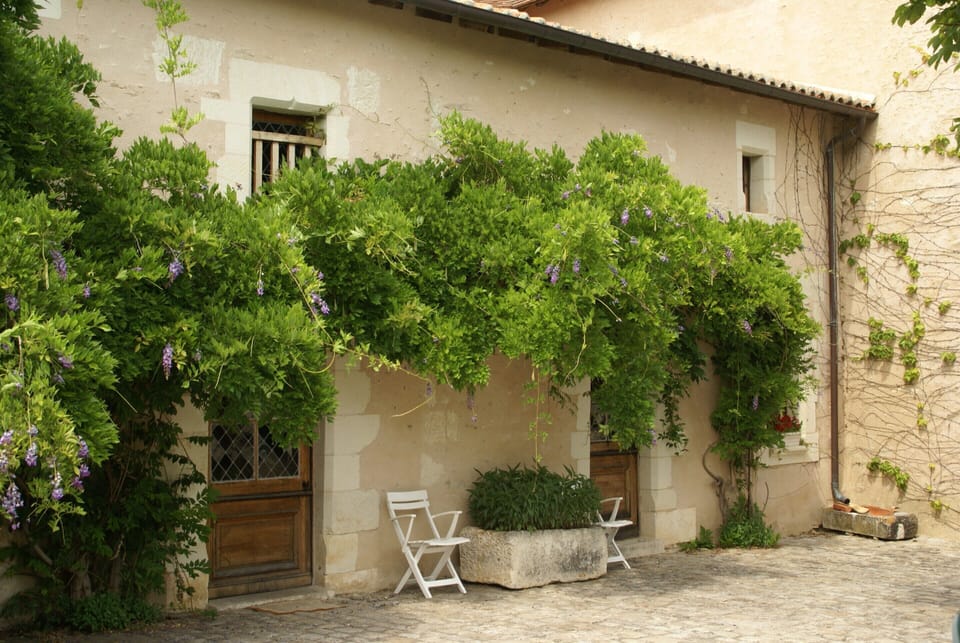 House | Garden