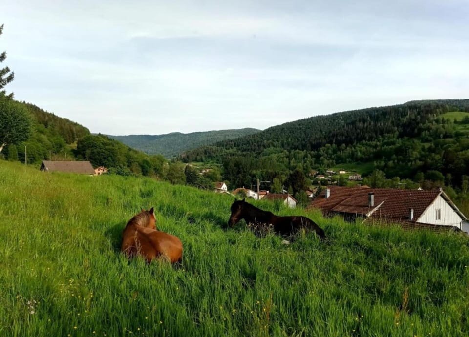 Chalet | View from property