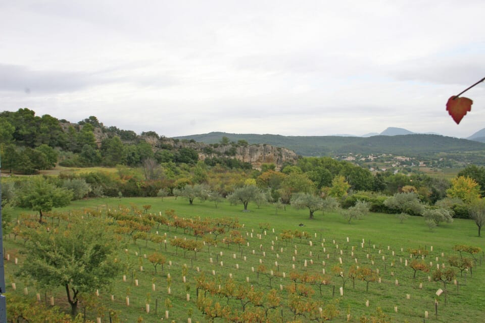 House | View from property