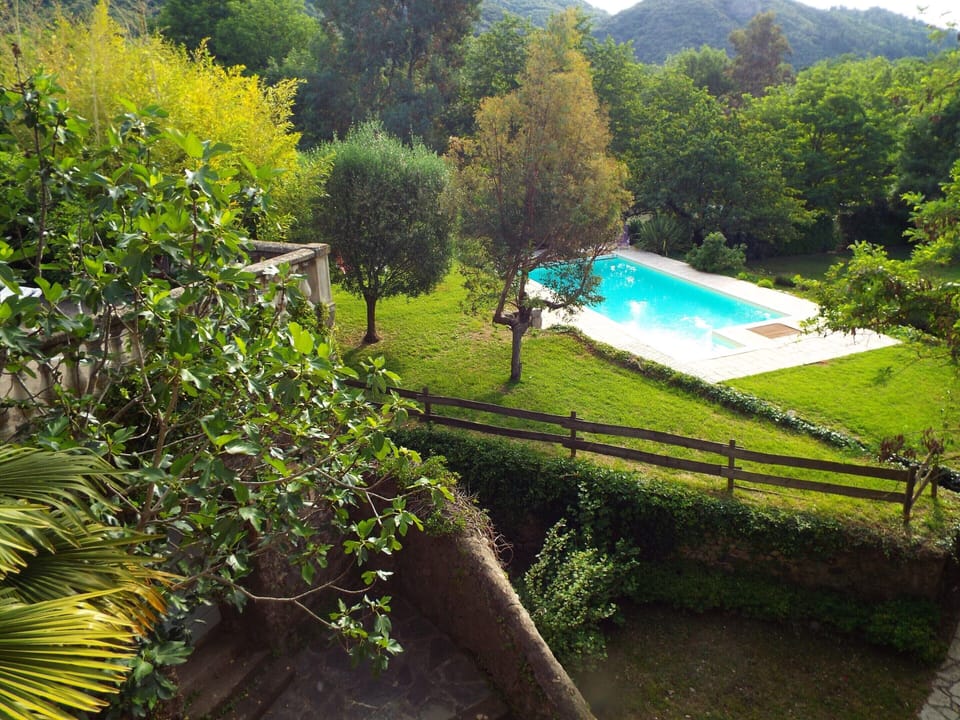 House | Pool | Outdoor pool