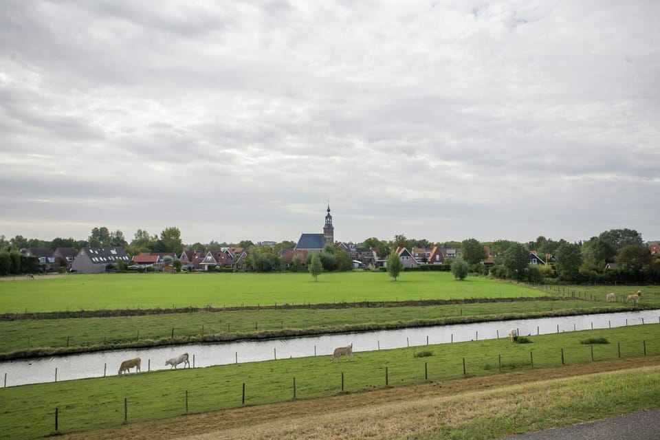 House | View from property