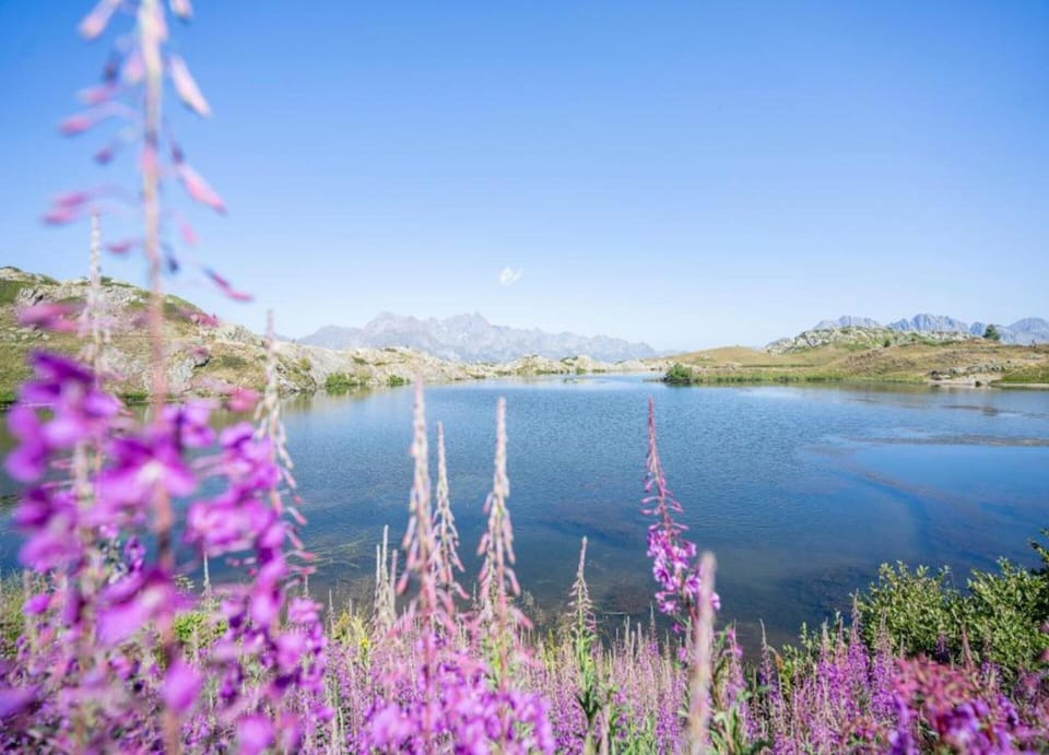 Chalet | View from property