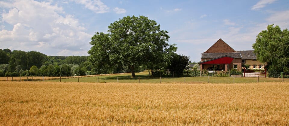 House | View from property