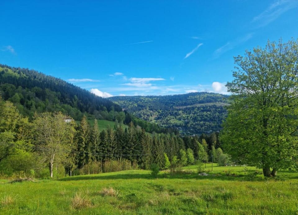 Chalet | View from property