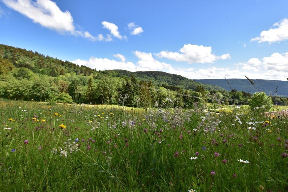 Chalet | View from property