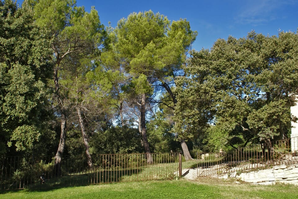 Villa | Garden