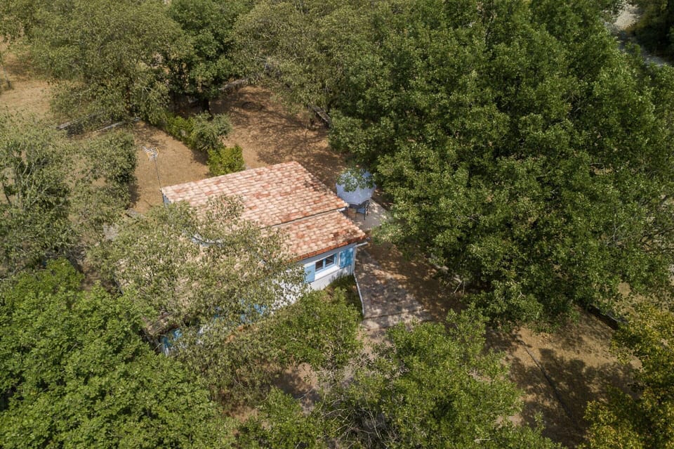 House | View from property