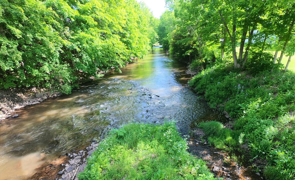 Looking off Halcottsville bridge
