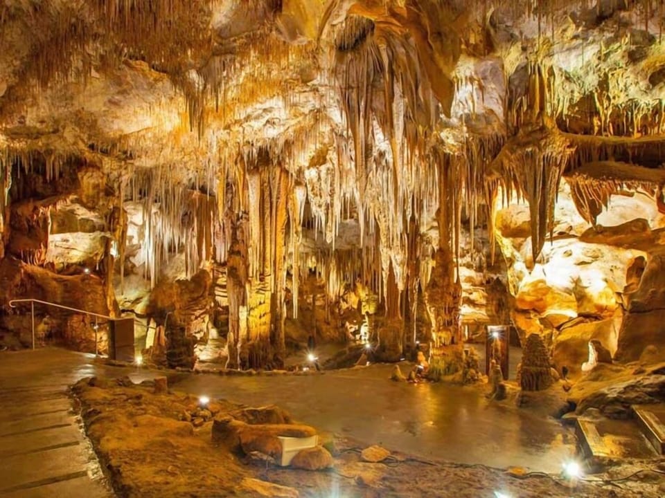 Ecotours
