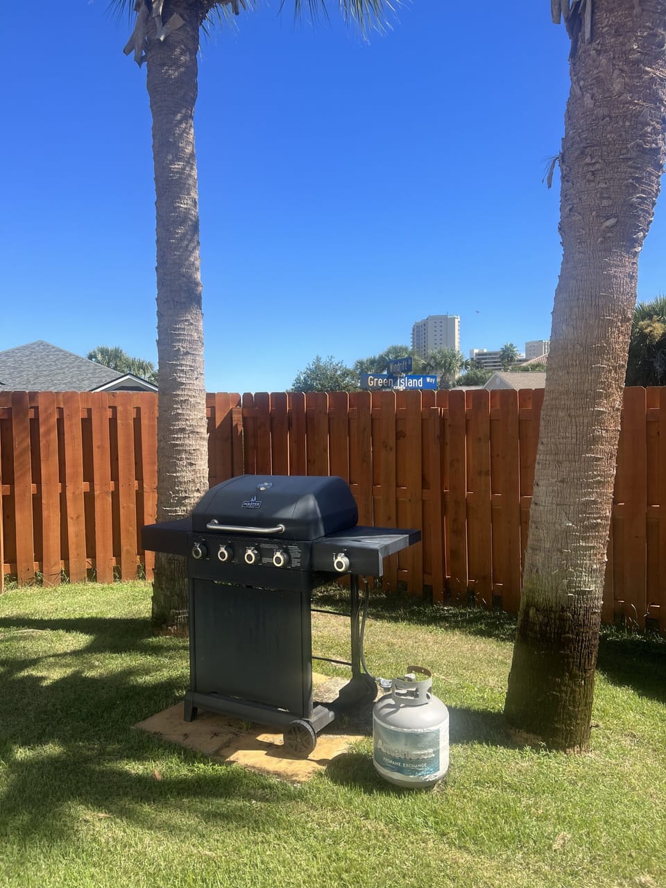 Propane Grill