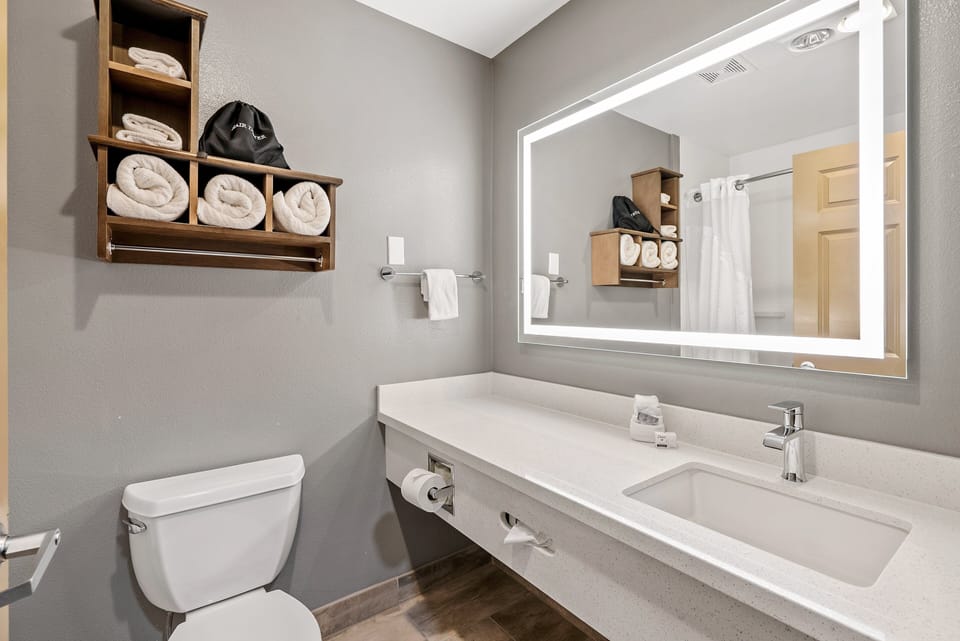 Combined shower/tub, free toiletries, hair dryer, towels