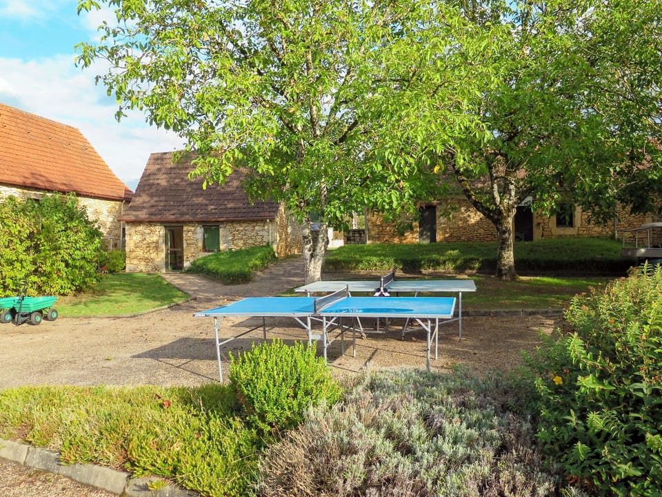 Plant, Furniture, Plant Community, Shade, Natural Landscape, Botany, Table, Tree, Outdoor Bench, Outdoor Furniture