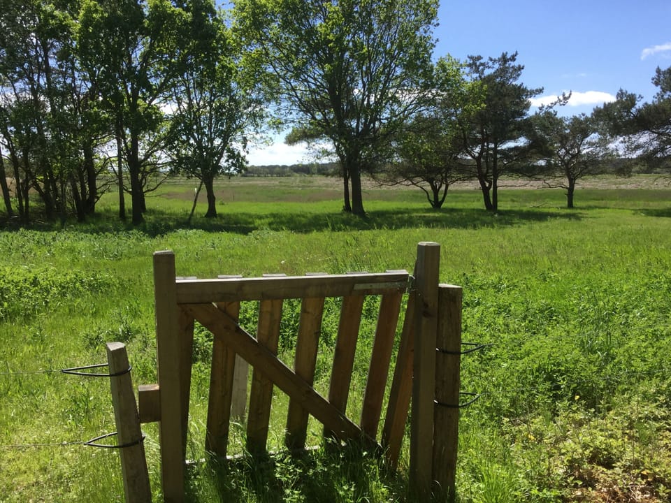 Land view from property