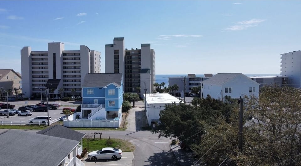Aerial Picture of Top of Pineapple Palms to Beach Access