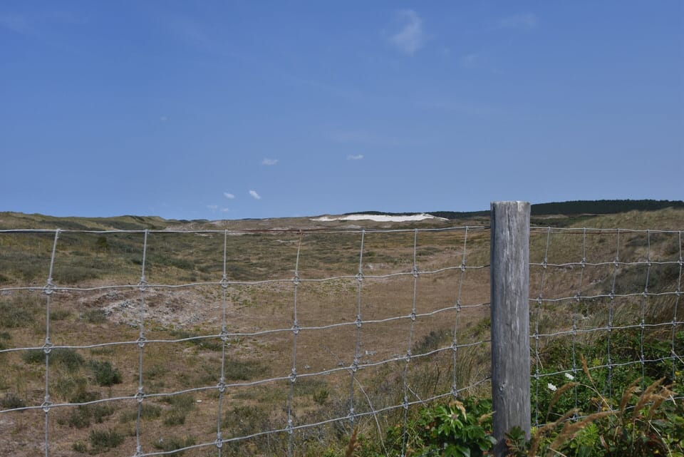 House | View from property