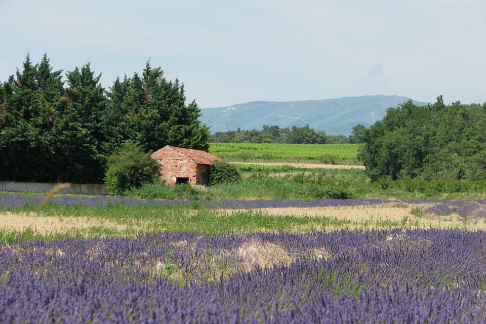 Villa | View from property