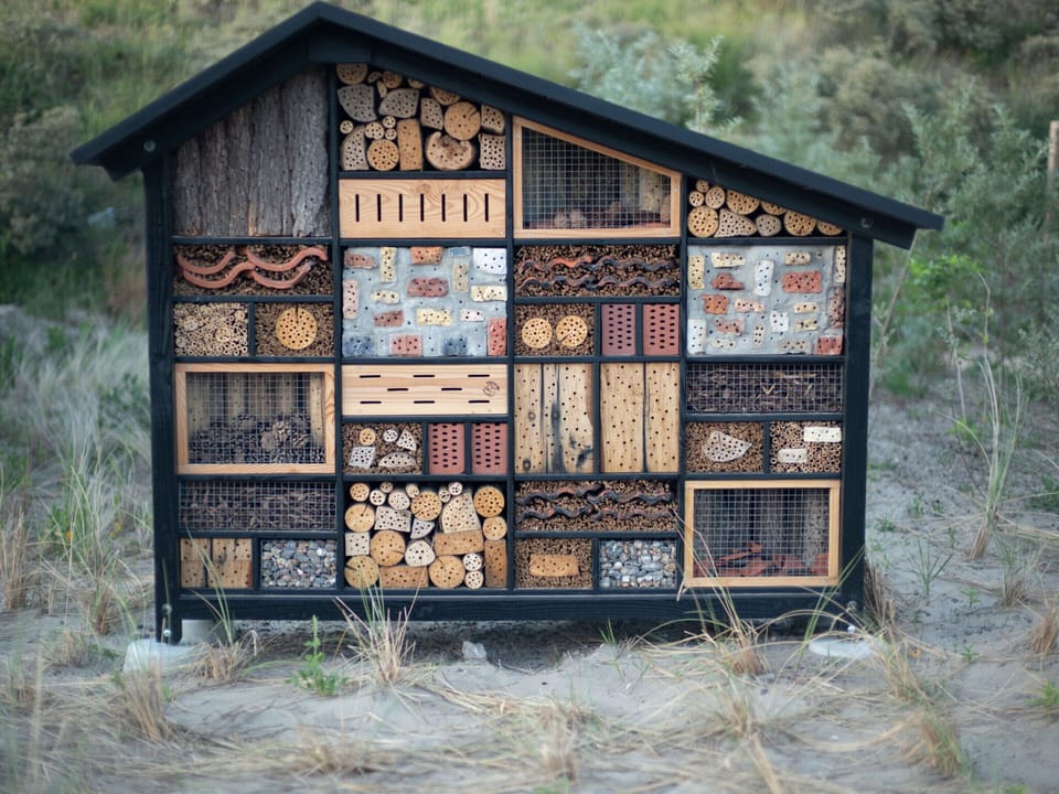 House | Miscellaneous