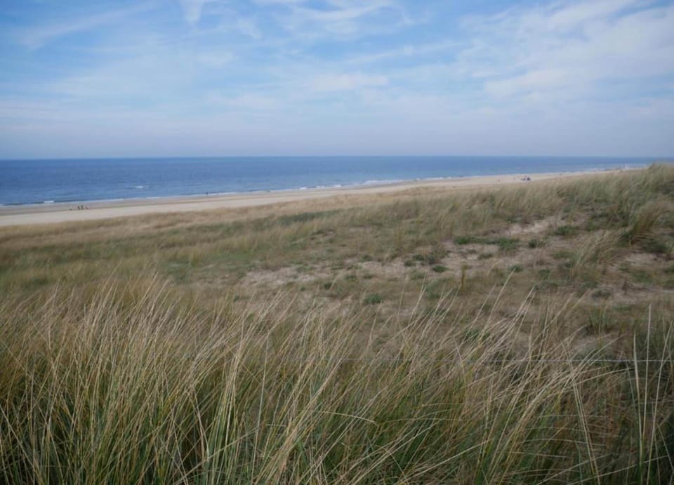 Holiday Home in Bergen Near North Sea Beach Apartment in Bergen aan Zee