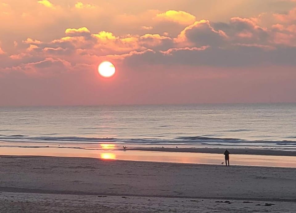 Holiday Home in Bergen Near North Sea Beach Apartment in Bergen aan Zee