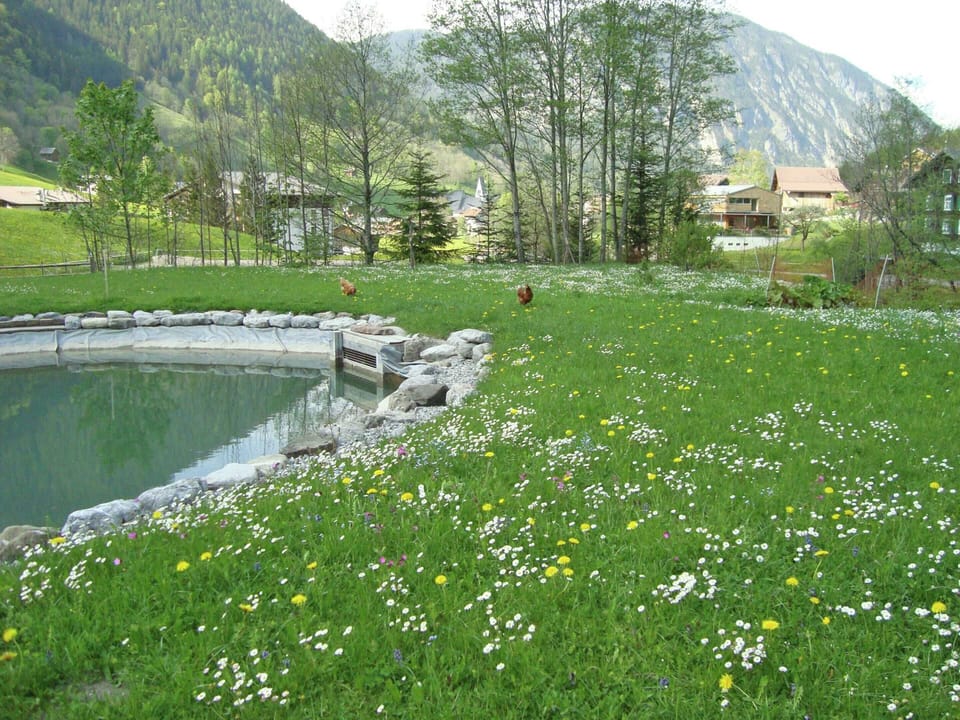 Chalet | View from property