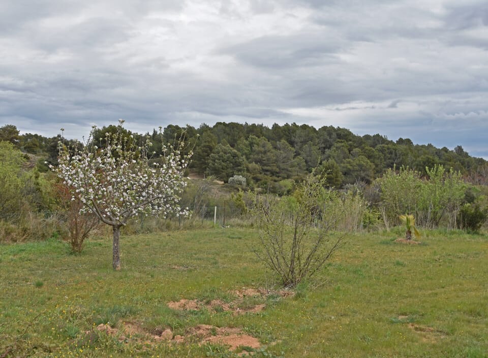 Villa | Garden