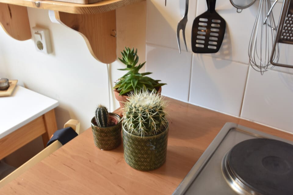 Apartment | Interior detail
