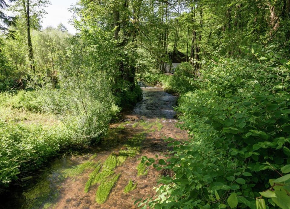 Cottage | View from property