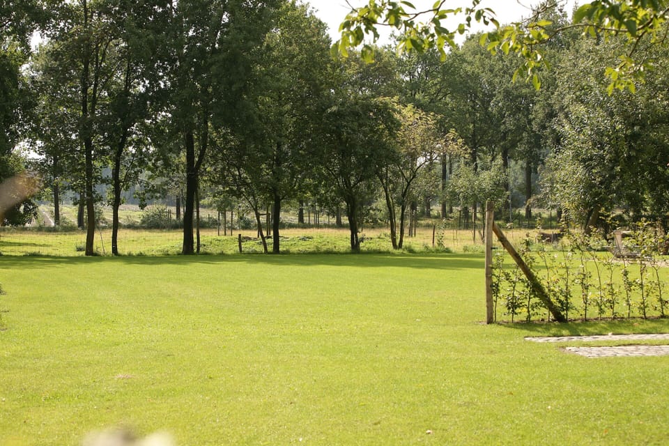House | View from property