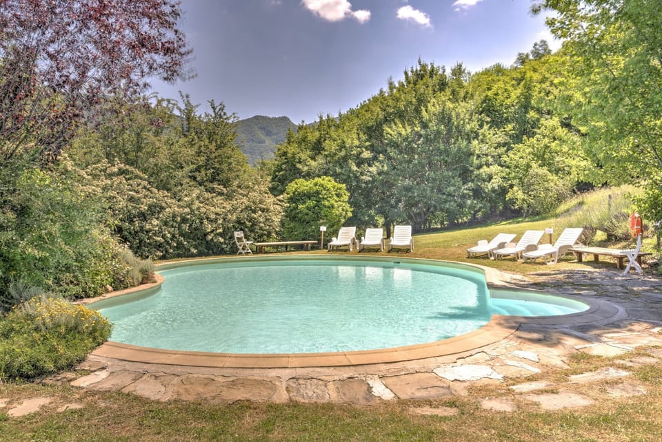 House | Pool | Outdoor pool