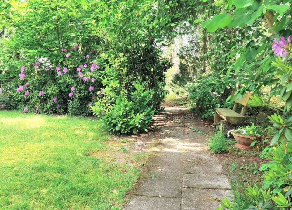 House | View from property
