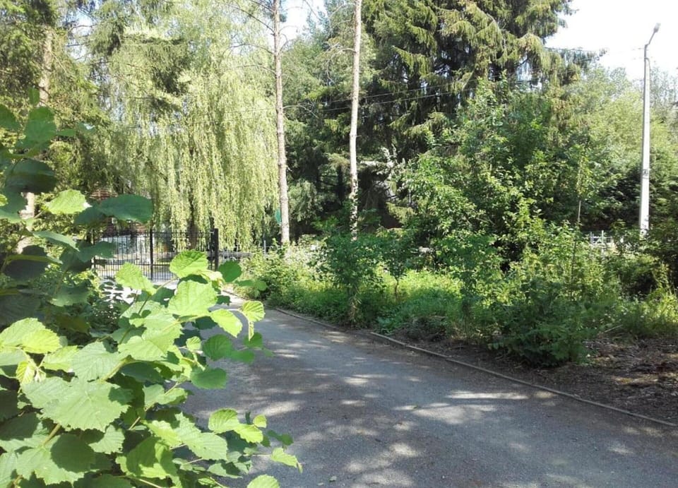 Apartment | View from property