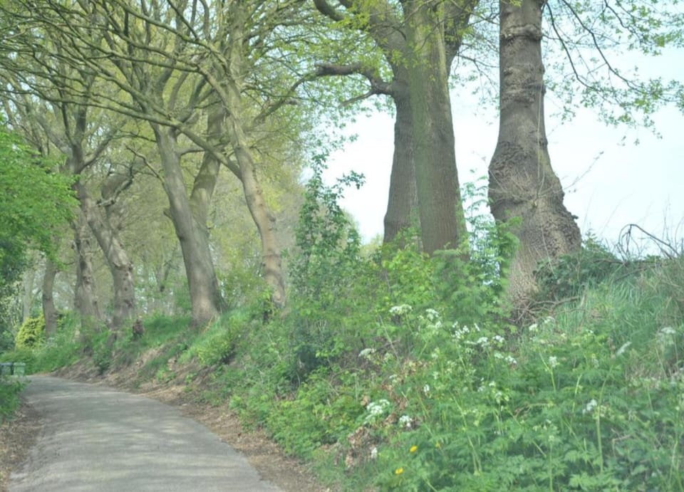 House | View from property