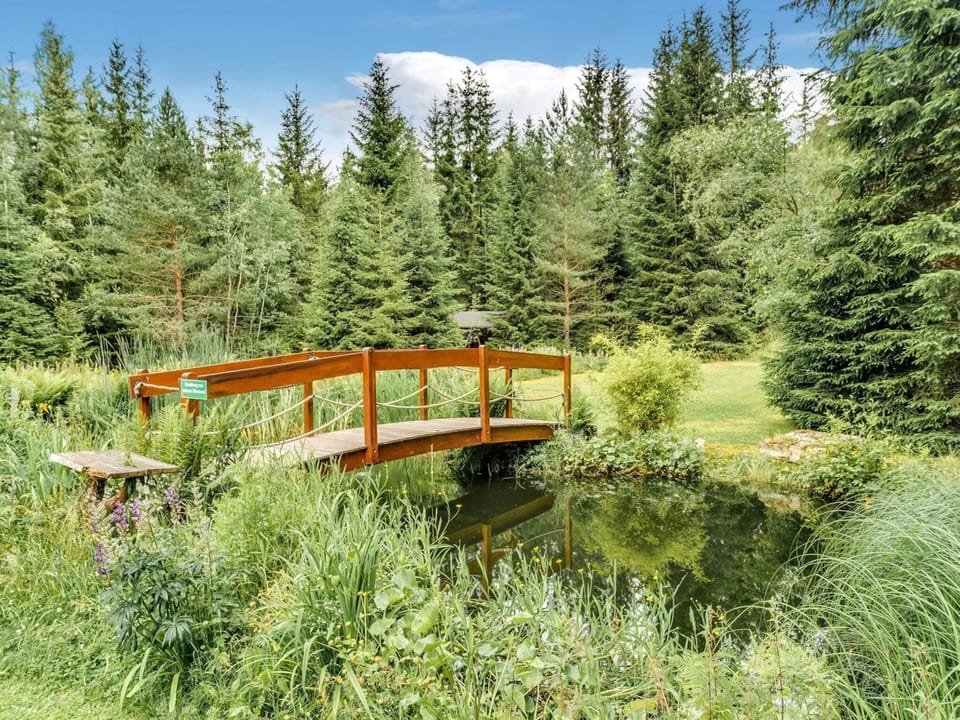 House | View from property