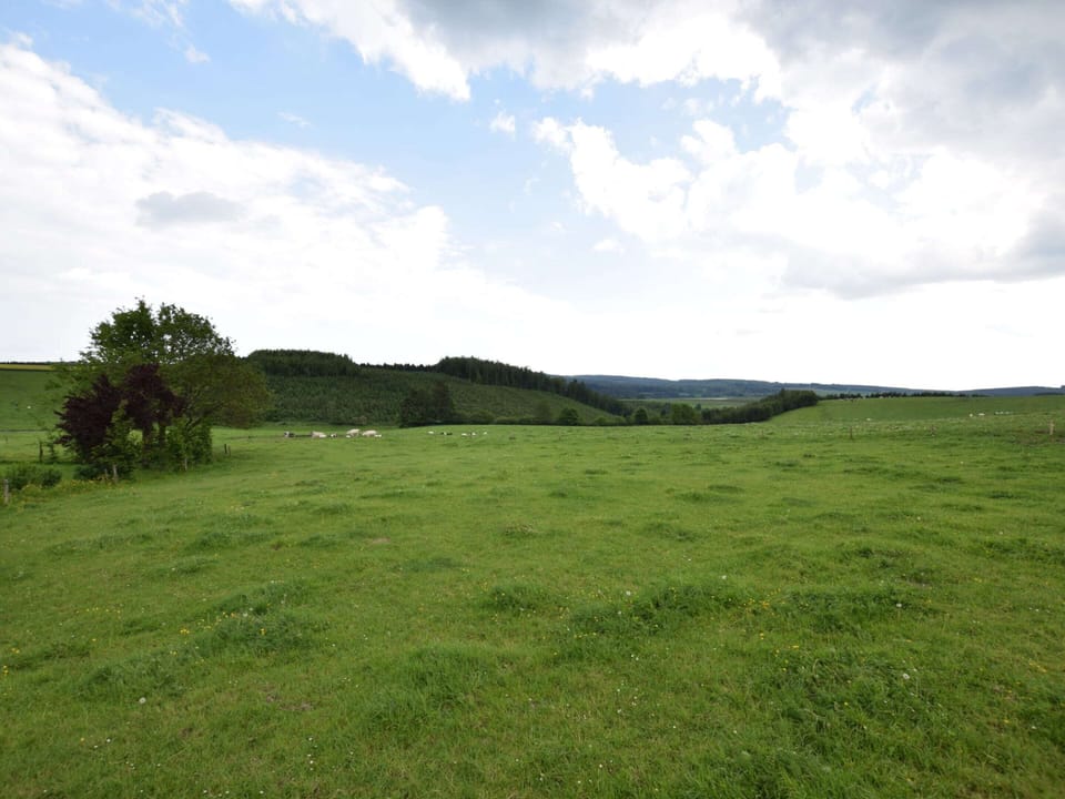 House | View from property