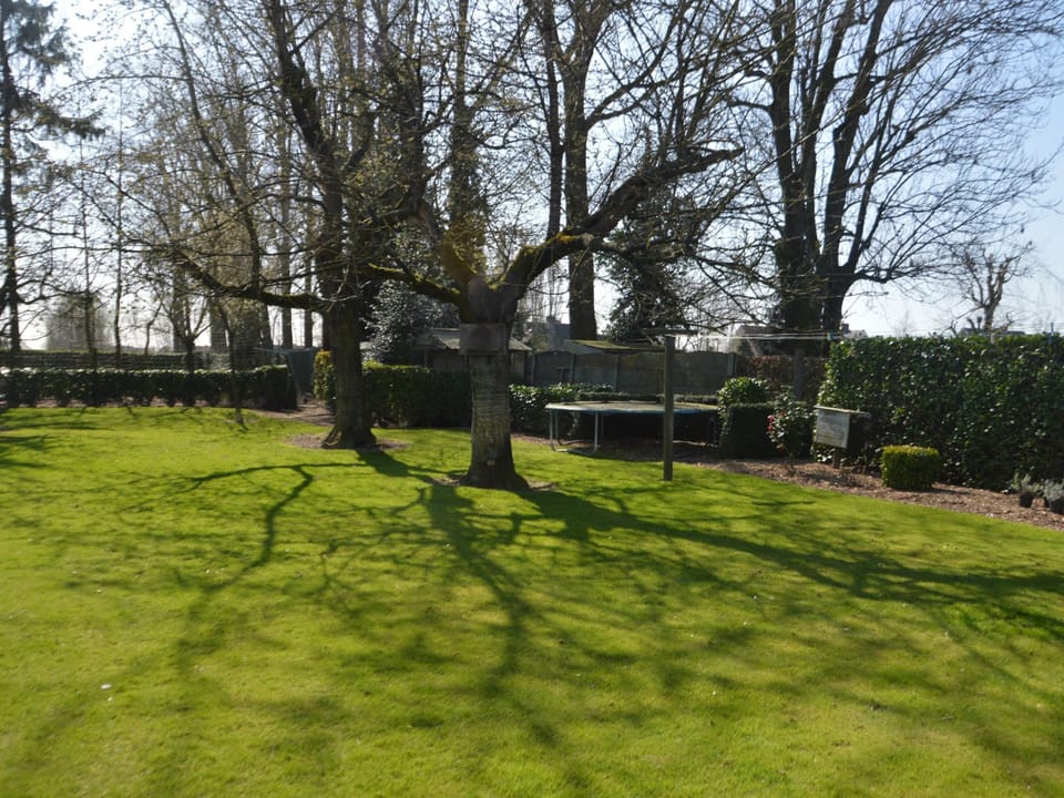 House | Garden