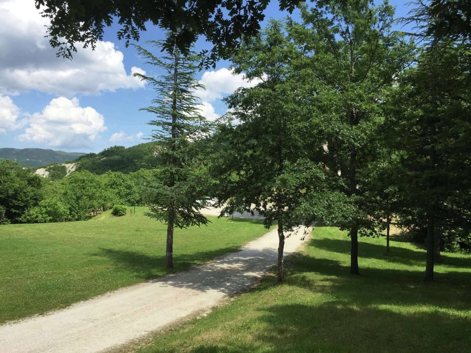 House | View from property