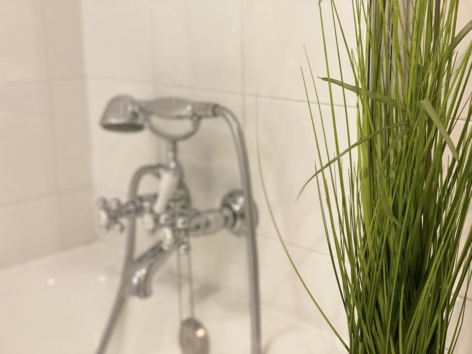 Bathtub, free toiletries, hair dryer, bidet