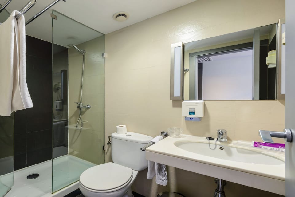 Shower, free toiletries, hair dryer, towels