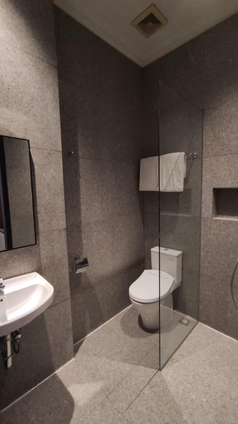 Deluxe Room | Bathroom | Shower, free toiletries, slippers, bidet