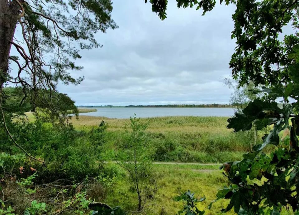 House | View from property