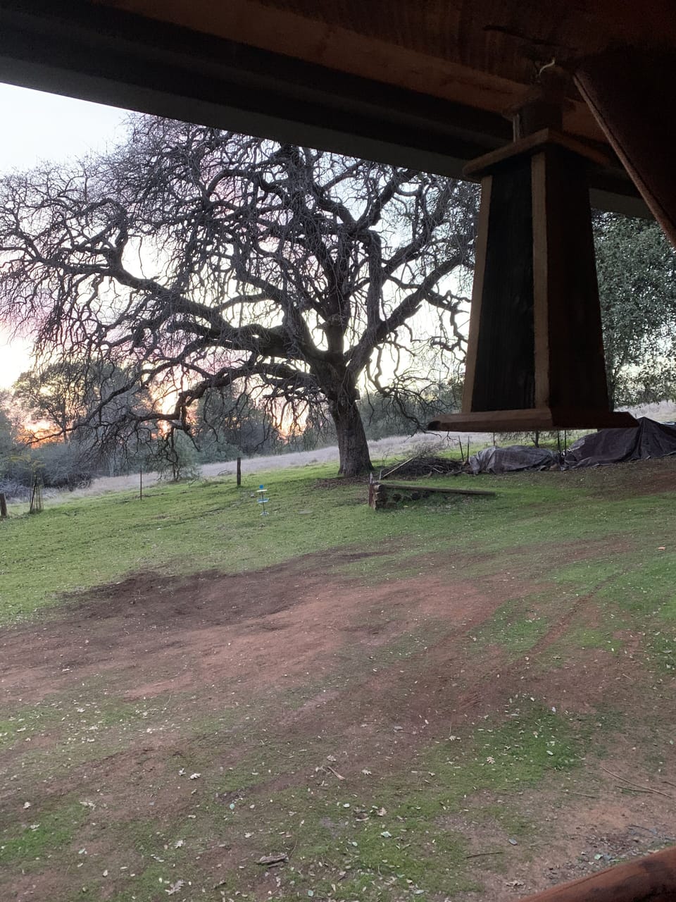 View from property