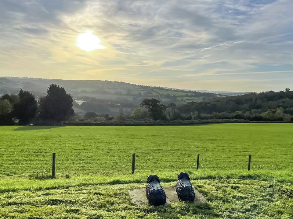 View | Bwthyn Y Bugail, Abercych, near Cardigan