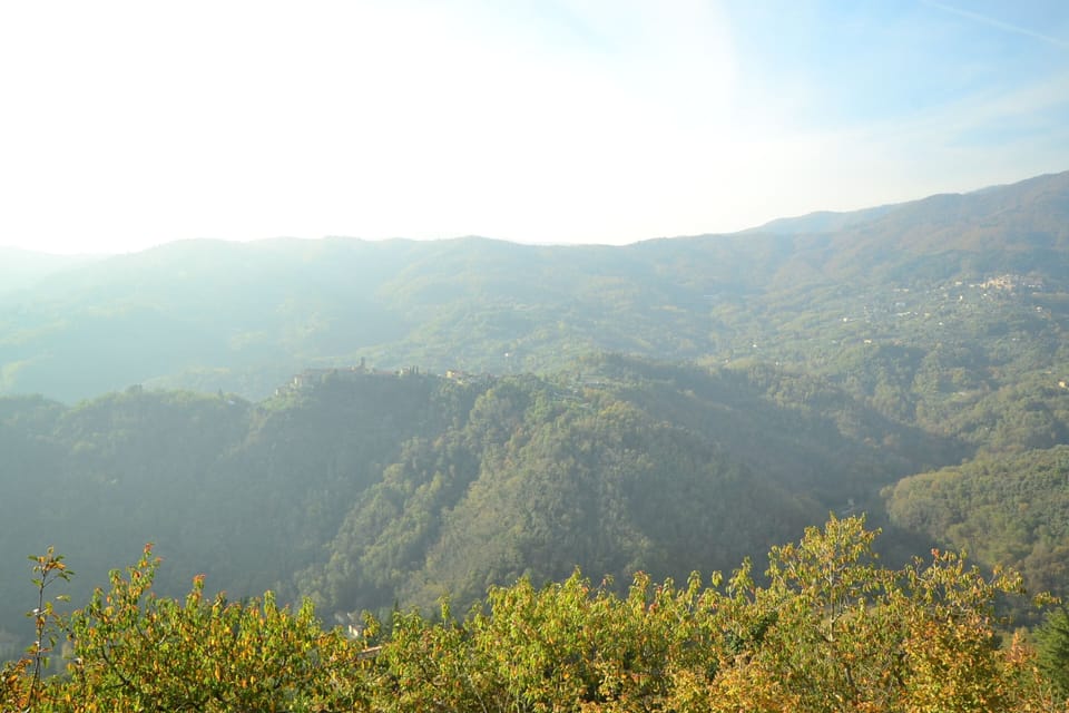 Chalet | View from property