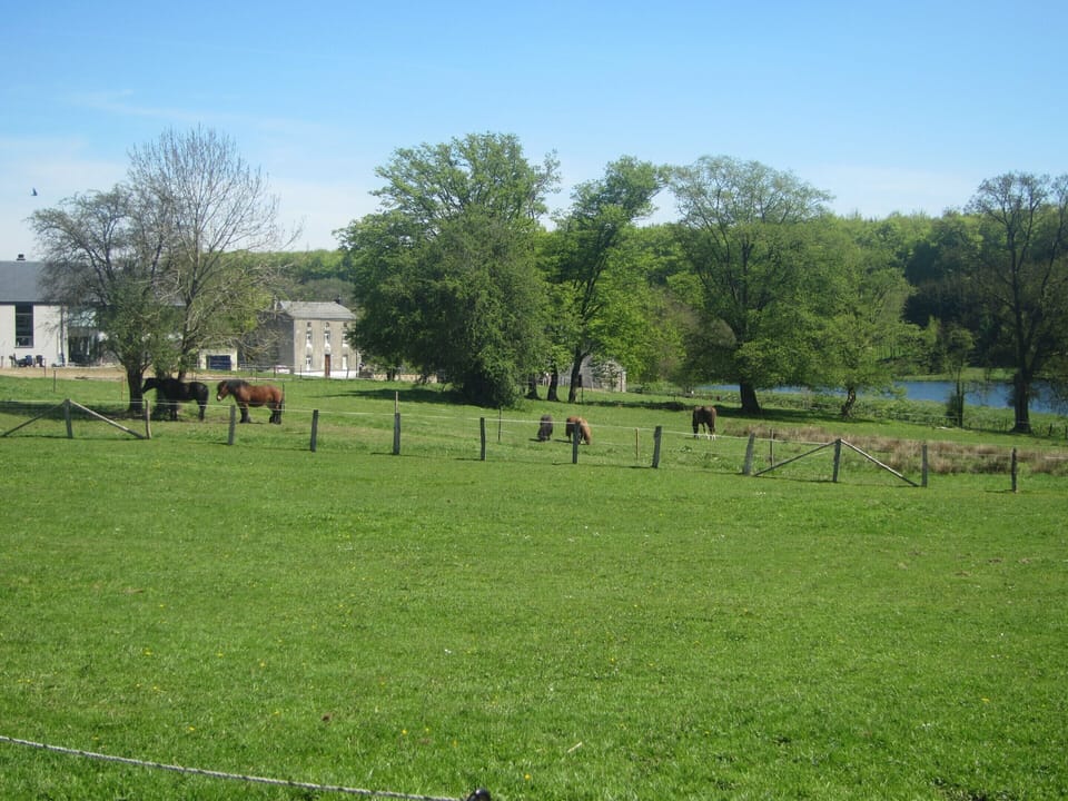 Cottage | View from property