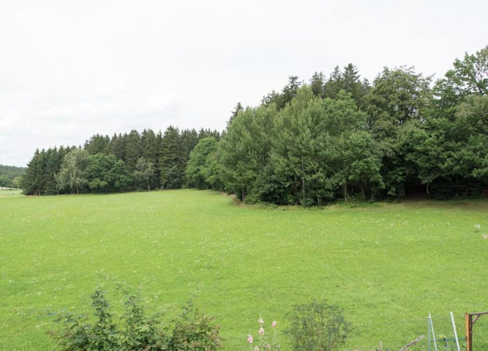 House | View from property