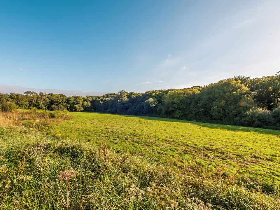 Surrounding area | Chesnut Cottage, Beech Cottage - Woodside Stables, Carkeel, near Saltash